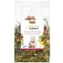 ALEGIA Frutta & Erbe per conigli - snack per conigli - 130 g