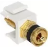 Modulo Keystone DeLOCK 86303