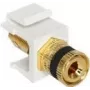 Modulo Keystone DeLOCK 86303