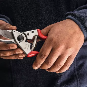 Felco | cesoia per potatura per mancini | FELCO 16