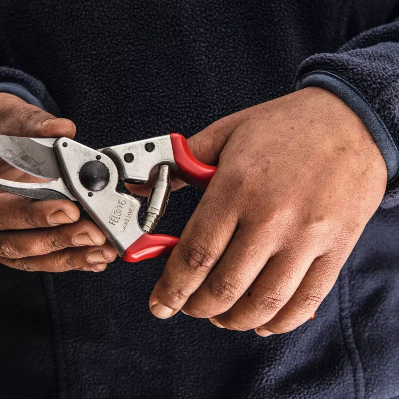 Felco | cesoia per potatura per mancini | FELCO 16