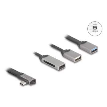 DeLOCK 64303 Hub USB 3.2 Gen 1 Type-C 5000 Mbit/s grigio