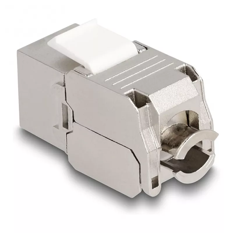 DeLOCK modulo keystone RJ45 connettore femmina a LSA Cat.6A con LED argento-bianco