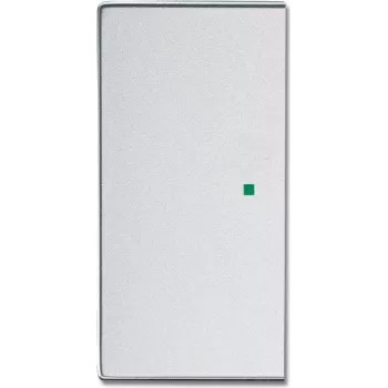 Busch-Jaeger 2CKA006220A0048 Placca di copertura per supporto e portalampada sensore argento (2CKA006220A0048)