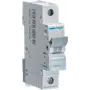 Hager MCN120 tipo C 1P 1 modulo interruttore automatico (MCN120)