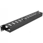 Pannello di gestione cavi DeLOCK 19 pollici 66550 nero 1HE