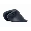 Gembird MUSW-ERGO-03 Mouse per uso domestico per destrorsi RF Wireless Ottico 1600 DPI