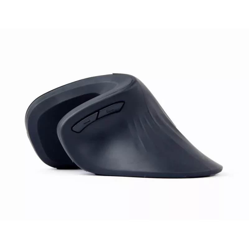 Gembird MUSW-ERGO-03 Mouse per uso domestico per destrorsi RF Wireless Ottico 1600 DPI
