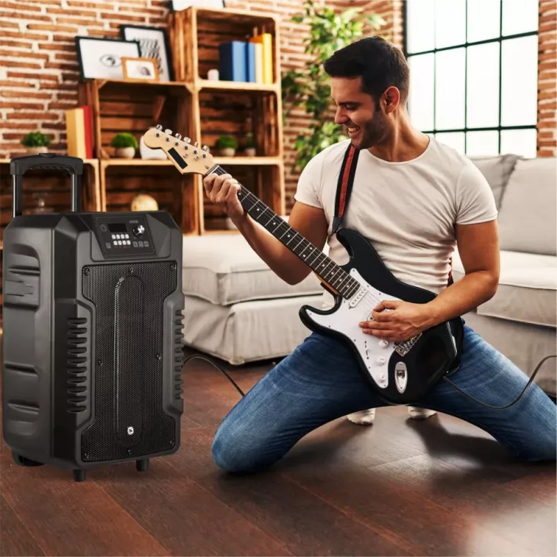 Altoparlante Manta SPK1203B100 100 W