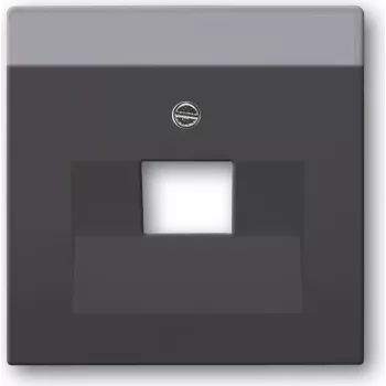 Busch Jaeger 1710-0-3616 Placca a parete/copri interruttore antracite (1710-0-3616)