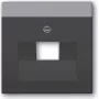 Busch Jaeger 1710-0-3616 Placca a parete/copri interruttore antracite (1710-0-3616)