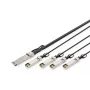 Cavo direct-attach Digitus DN-81325 40G QSFP+ su 4x SFP+ 5 m