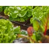 Connettore per tubo Gardena 13211-20 plastica nero 10 pezzi