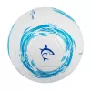 Pallone da calcio White Shark TB-001 Dribbler 32 pannelli misura 5