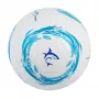 Pallone da calcio White Shark TB-001 Dribbler 32 pannelli misura 5