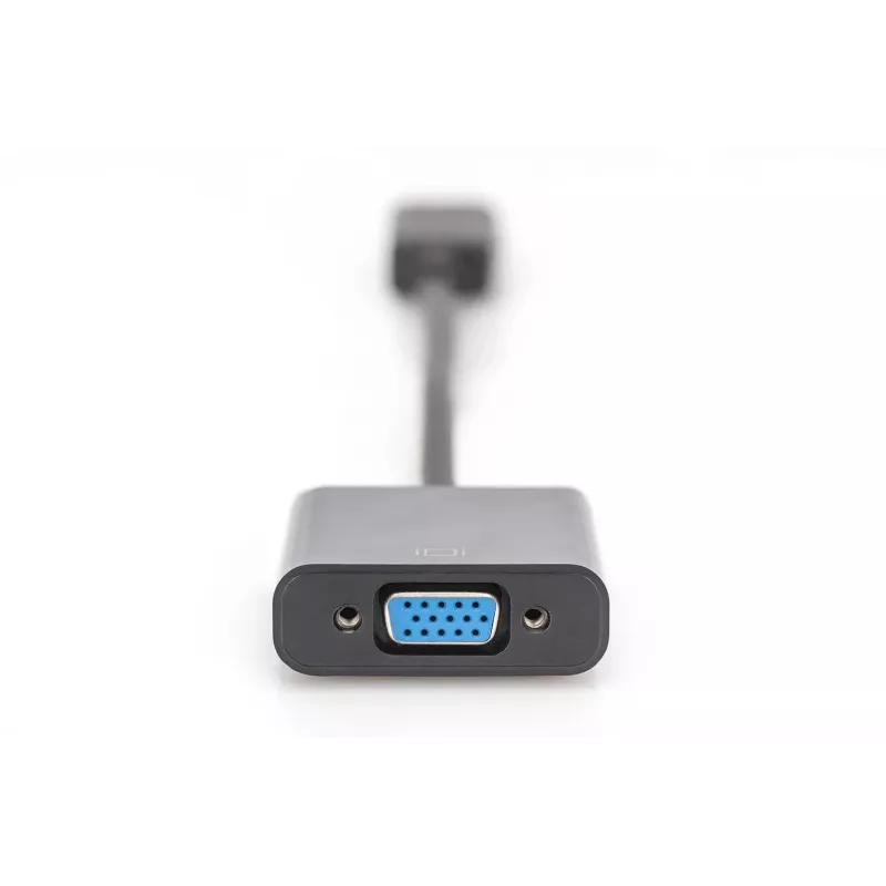 Digitus adattatore / convertitore DisplayPort