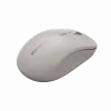 Canyon mouse MW-12 dualband wireless beige - mouse - 2.400 dpi (CNS-CMSW12BG)