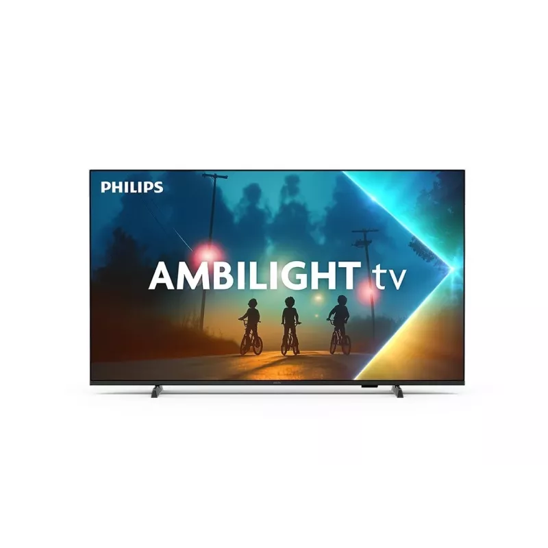 TV Philips 65PUS8100/12 65