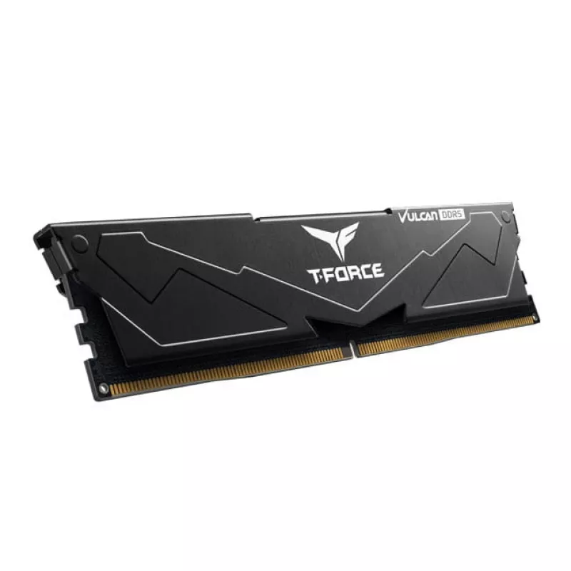 DIMM 32 GB DDR5-6000 (2x 16 GB) Dual-Kit, memoria RAM nera, FLBD532G6000HC38ADC01, Vulcan, AMD EXPO