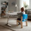 Ergo Office Scrivania ergonomica per bambini regolabile in altezza, grigia, max 100 kg, ER-417 2cz