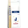 Royal Canin VHN Cat Renal crocchette per gatti, 2 kg