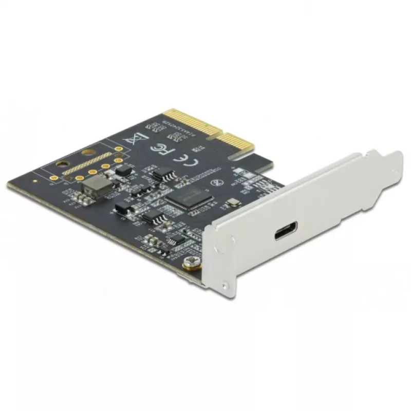 DeLOCK - adattatore USB - PCIe 3.0 x4 low-profile - USB 3.2 Gen 2x2 x 1 (89036)