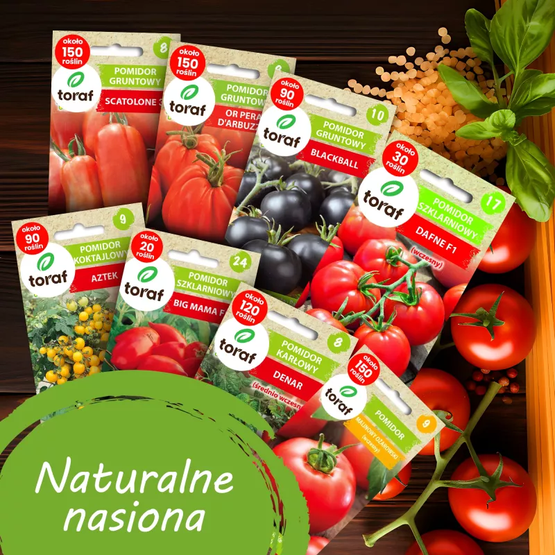 Set di semi di pomodoro Toraf Eden – 8 confezioni