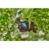 Gardena 13315-20 attrezzo da giardino 15 L nero