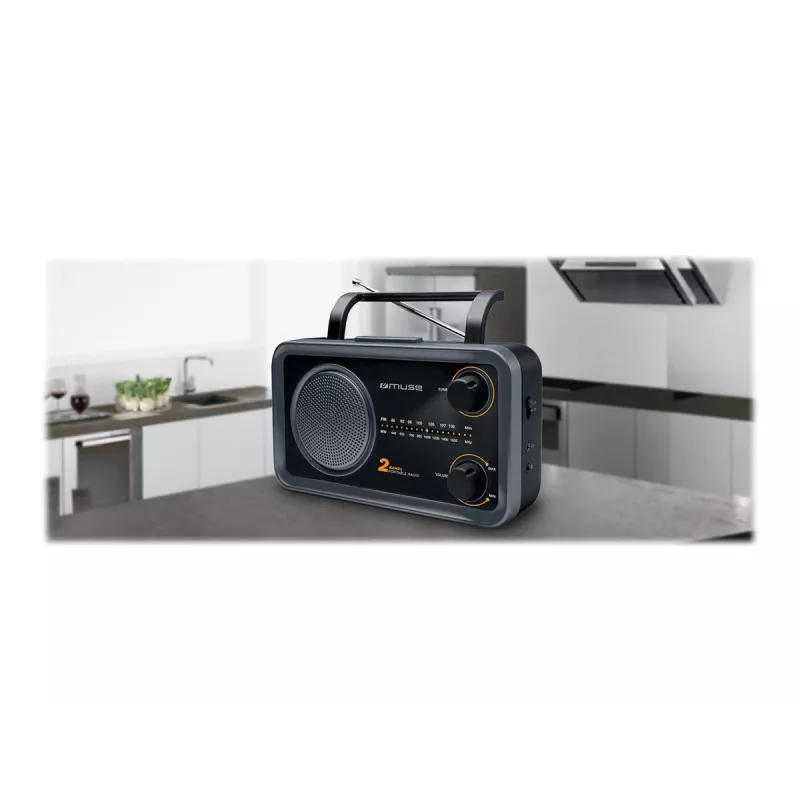 Muse | Radio portatile 2 bande | M-06DS | ingresso AUX | grigio
