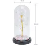 Rosa eterna in vetro Extralink Home, luce LED bianca