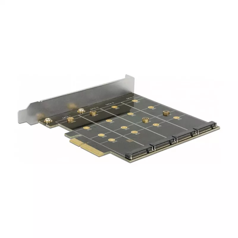 Scheda di interfaccia DeLOCK 89888
