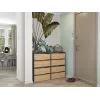 Scarpiera chiusa Top E-Shop MODO ANT/ART — antracite e rovere, truciolare