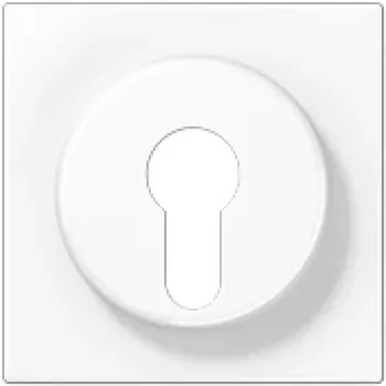 Piastra di copertura per interruttore a chiave Jung LS 928 WW, bianco, compatibile IP44