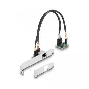 DeLOCK 95271 Scheda di rete interna 2500 Mbit/s Mini PCI Express