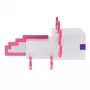 Luce Paladone Minecraft Axolotl