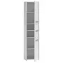 Mobile da bagno a terra Top e shop S43 BIEL — a sé stante, 6 ripiani, 400×300×1700 mm, bianco