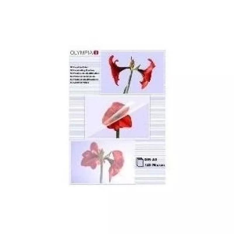 Pellicola per laminazione Olympia 1x50 DIN A3 125 micron