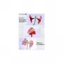 Pellicola per laminazione Olympia 1x50 DIN A3 125 micron