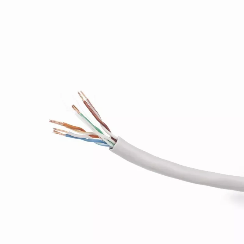 Gembird UPC-5004E-L Cavo di rete grigio 304,8 m Cat5e