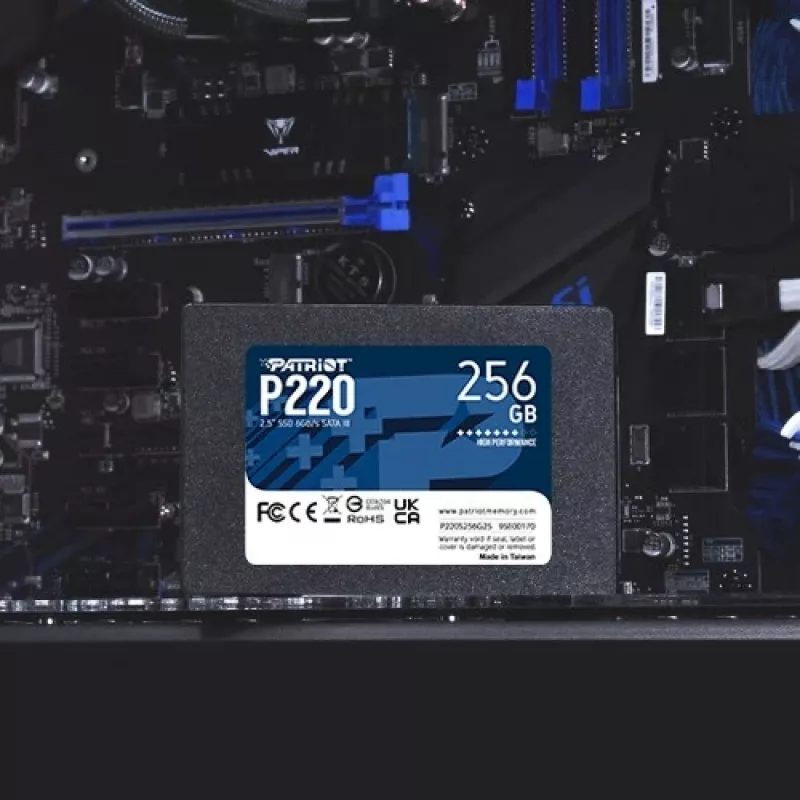 Unità SSD Patriot P220 256 GB 2,5 pollici SATA III
