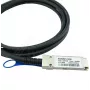 Cavo InfiniBand BlueOptics SC282801L2M30 2 m QSFP28 nero (SC282801L2M30-BL)