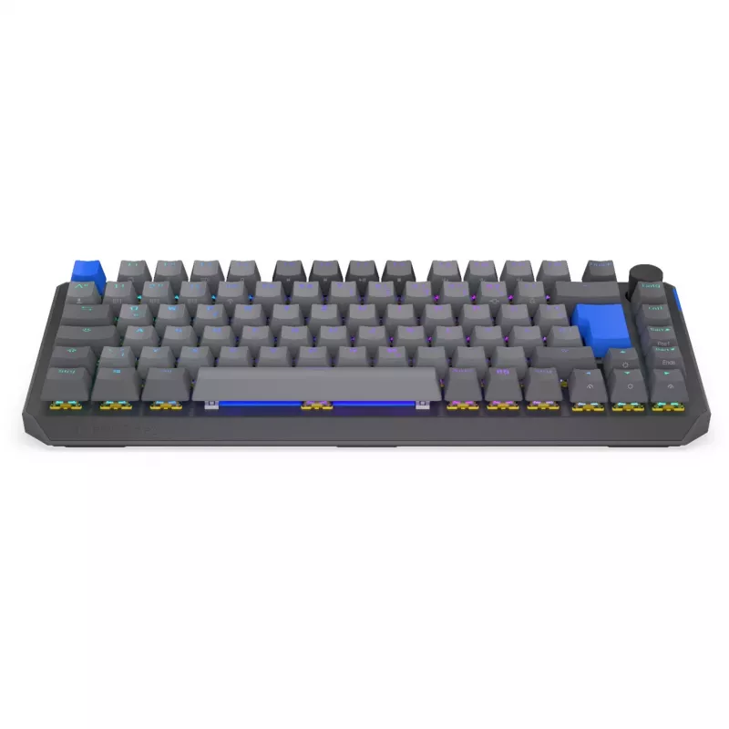 Tastiera meccanica wireless compatta 75% ENDORFY Thock V2 con switch gialli, Layout DE