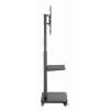 Supporto a terra per TV Gembird TVS-75S-02 con ruote, 37 - 75, nero