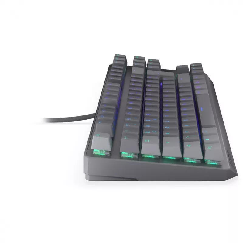 Tastiera meccanica ENDORFY Thock V2 TKL con switch rossi, Tenkeyless, Layout DE