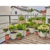 Sistema di irrigazione a goccia Gardena 13401-20 lunghezza tubo 20 m