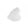 NATEC Crake 2 mouse, universale, per destrimani, RF Wireless + Bluetooth, ottico, 2400 DPI