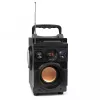 Squeak Bassblaster altoparlante Bluetooth 5.1, radio FM, lettore MP3 SQ1001