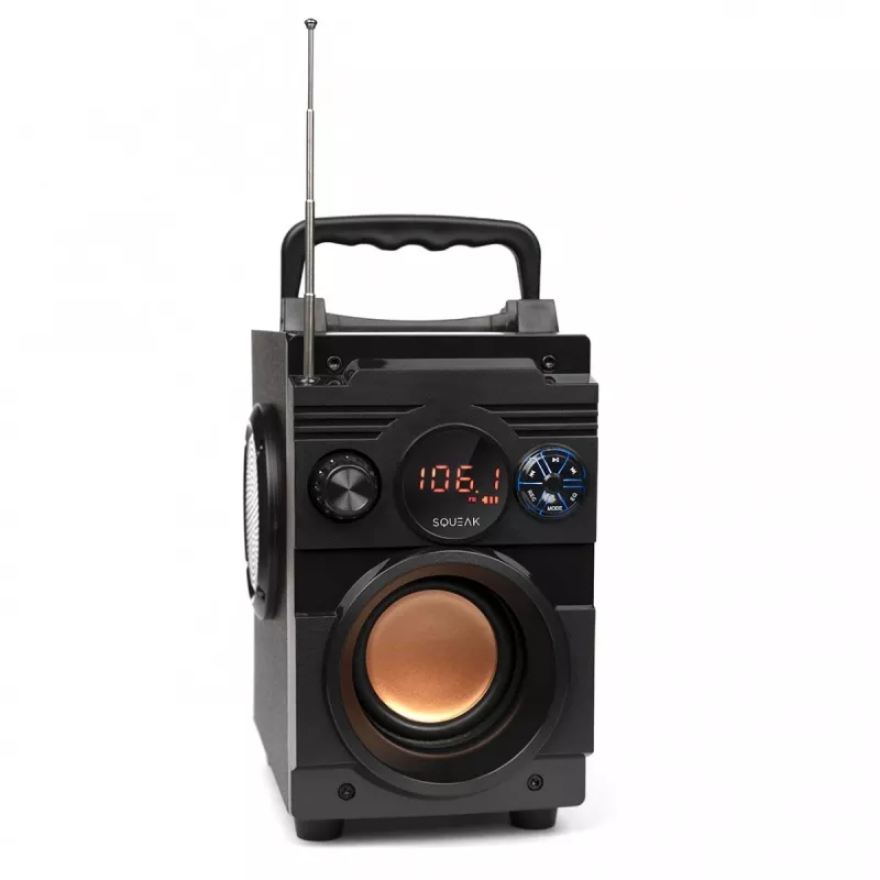 Squeak Bassblaster altoparlante Bluetooth 5.1, radio FM, lettore MP3 SQ1001