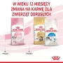 Royal Canin FHN Kitten crocchette per gattini, 4 kg