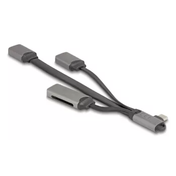 DeLOCK 64303 Hub USB 3.2 Gen 1 Type-C 5000 Mbit/s grigio